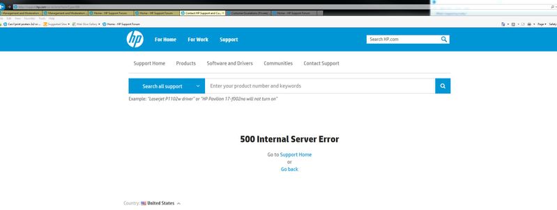 Server Error for Support Pages.JPG