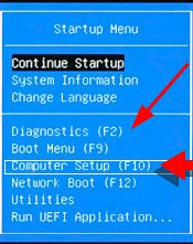 Startup menu diagnostics.jpg