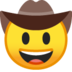 :cowboy_hat_face: