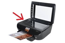 7640 feeder glass.jpg