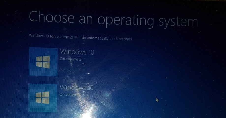 Operating System Choice at boot time