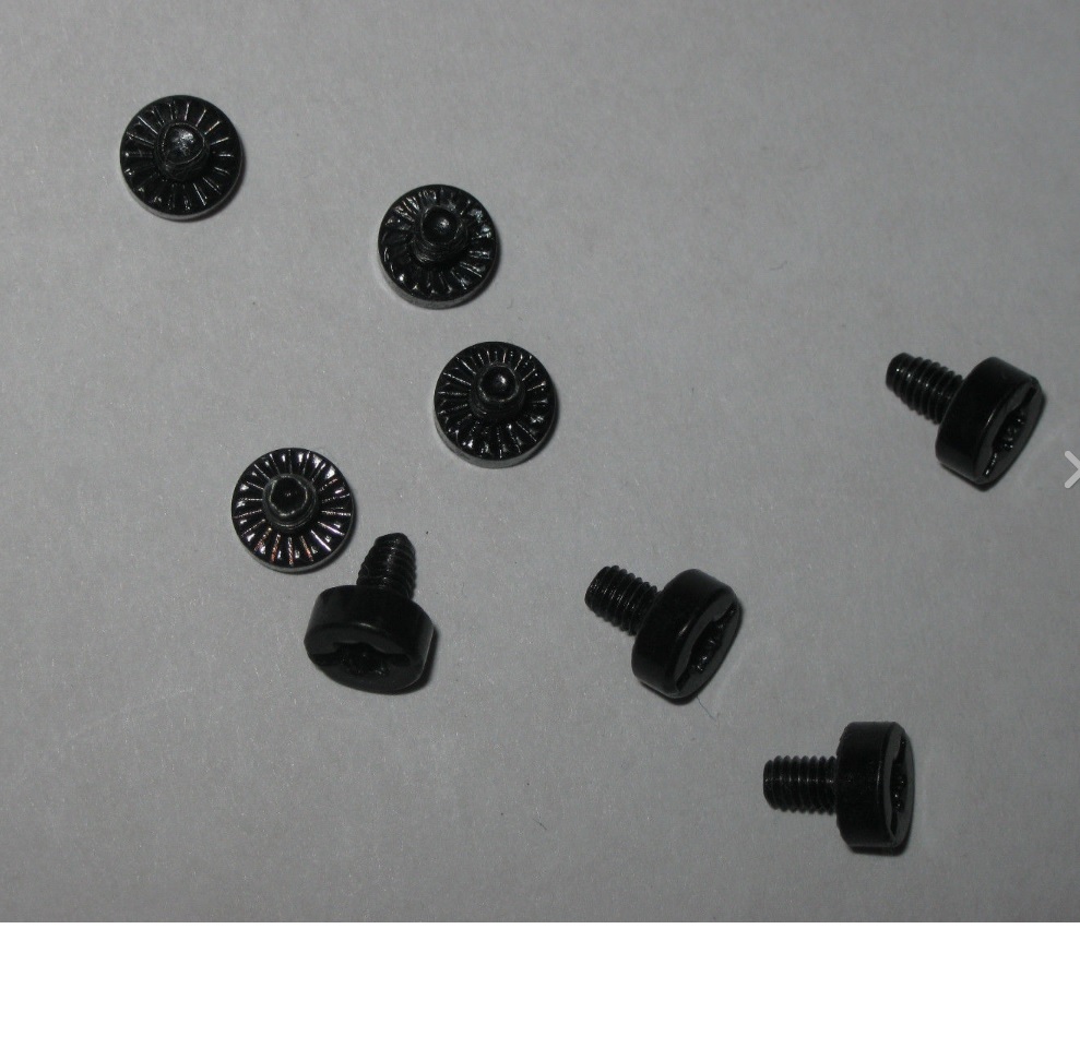 HP DVD Mounting Screw.jpg