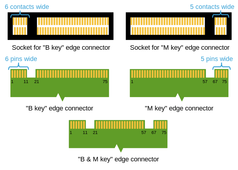 M2_Edge_Connector_Keying.svg.png