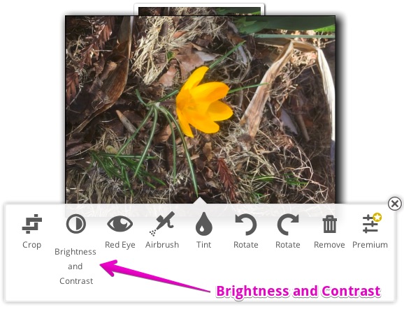 QuickPrint Brightness Contrast