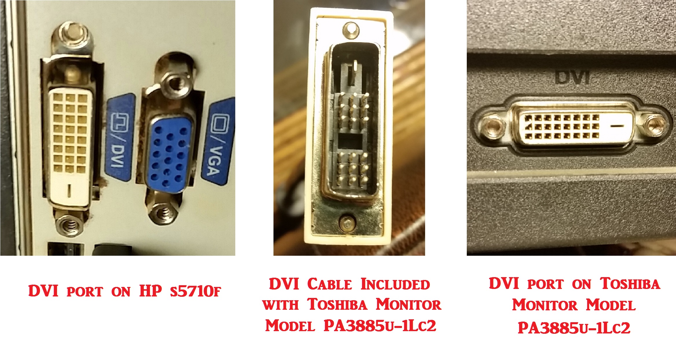 DVI all ports and cables.jpg