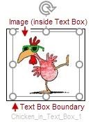 Chicken_in_Text_Box_1