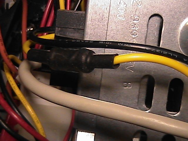 IMGA0213.JPG