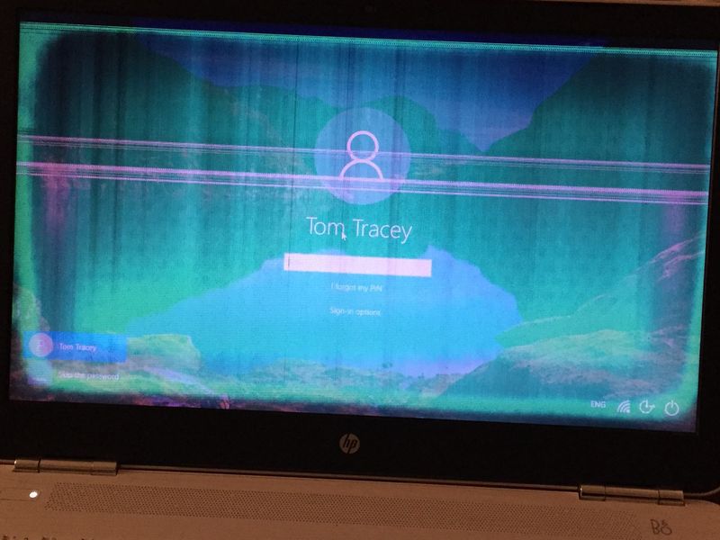 My laptop's screen glitches and freezes randomly - HP Support Community -  8053206