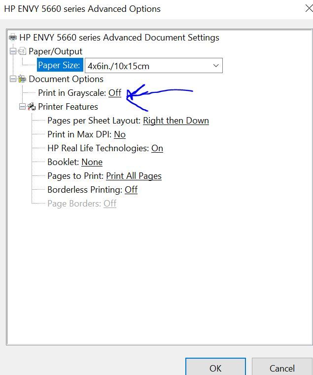Envy 5540 prints greyscale only since trying to print in Pub... HP