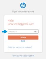 (5) Enter your password