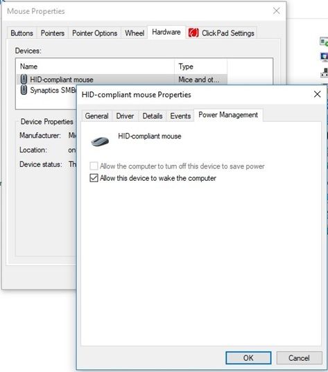 Mouse Property Screen Capture.jpg