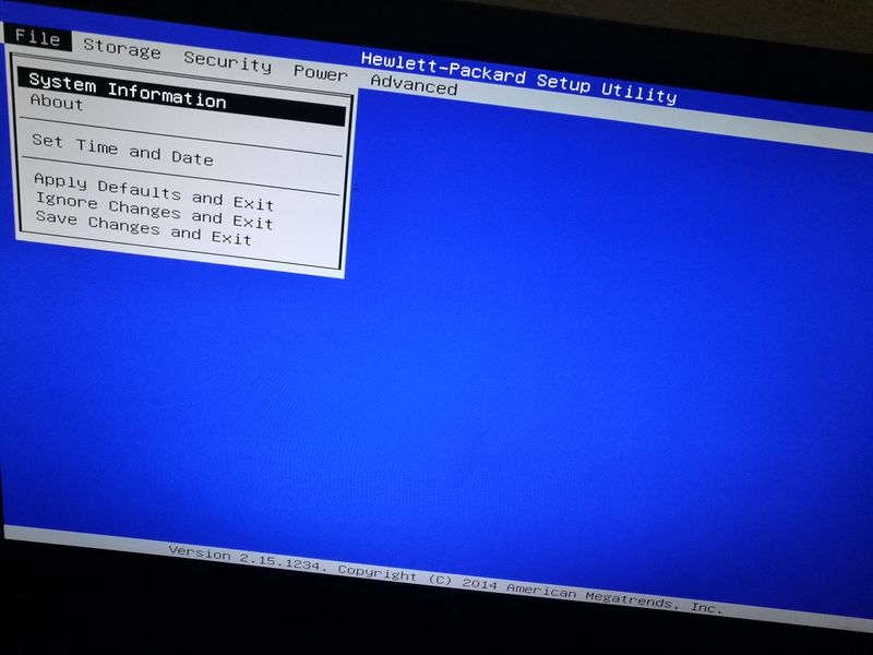 This the bios screen