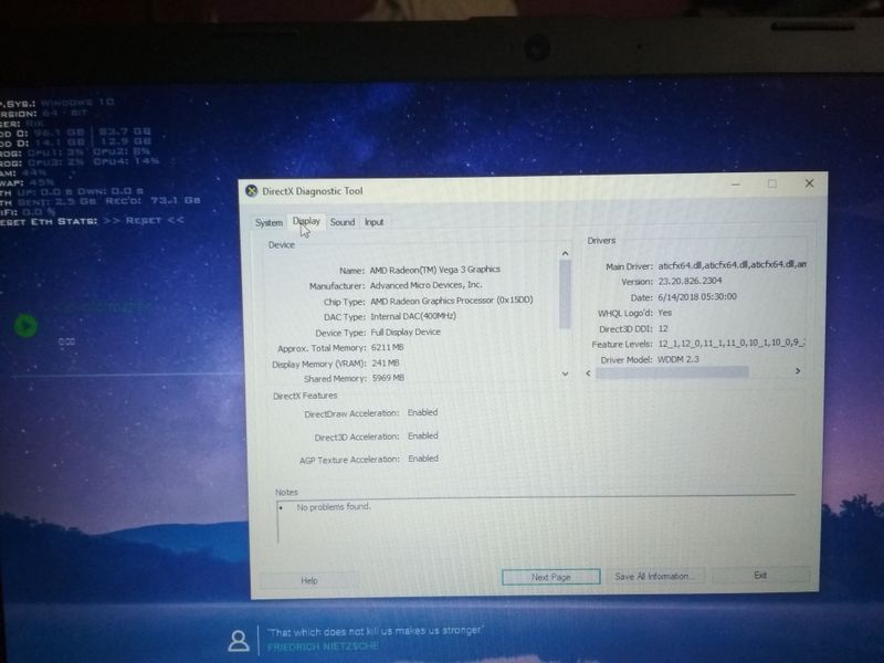 dxdiag, shared memory for AMD vega 3 graphics