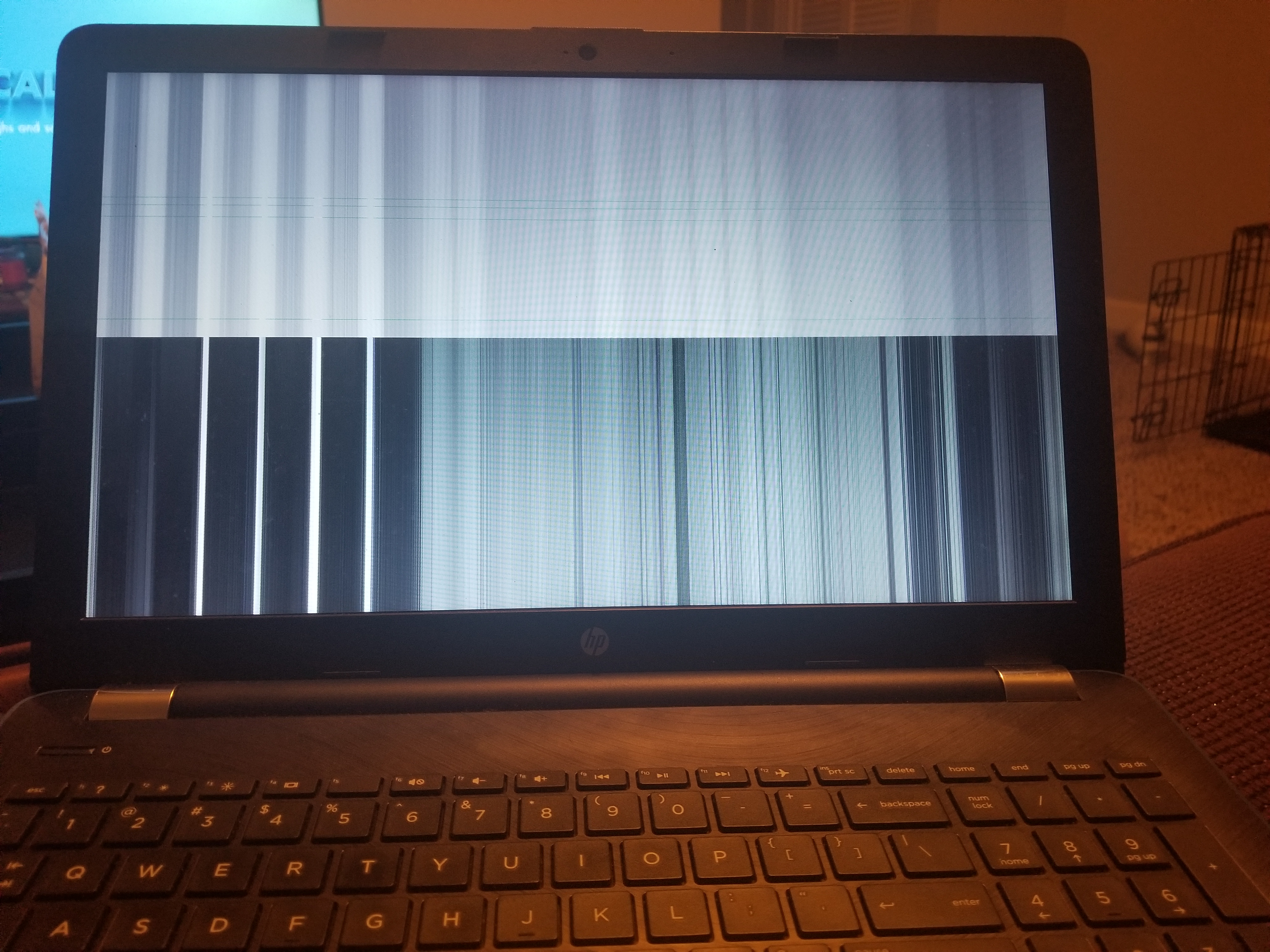 Black and White screen issue - HP 15