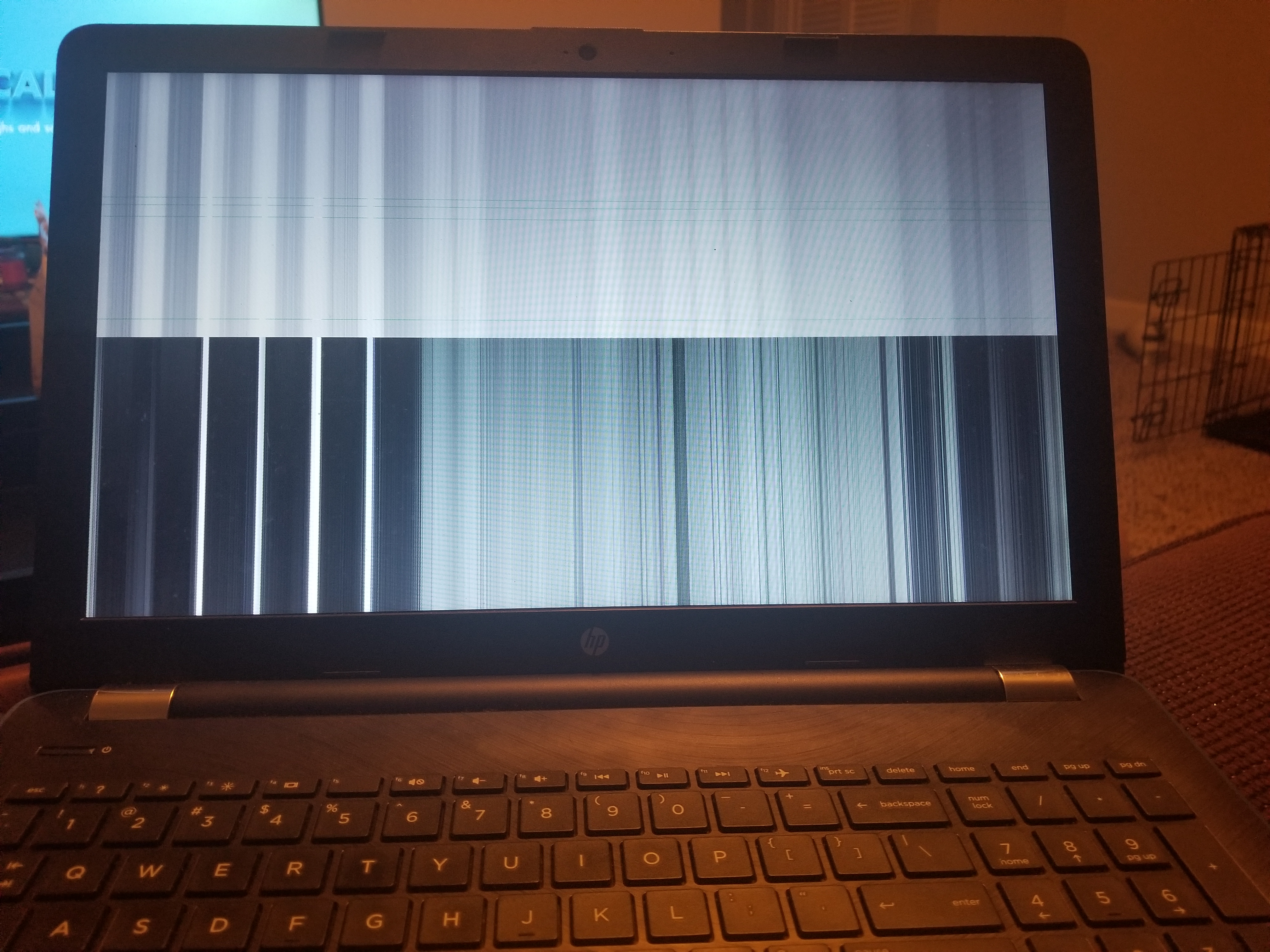 why is my hp laptop display black and white