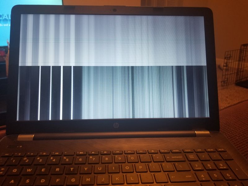 Black and White screen issue - HP 15" Touch Laptop - HP Support Community -  7017551