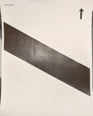 Cleaning Page