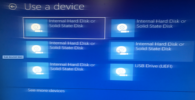 I selected Internal Hard Disk  or SSD(column-2 row-2)