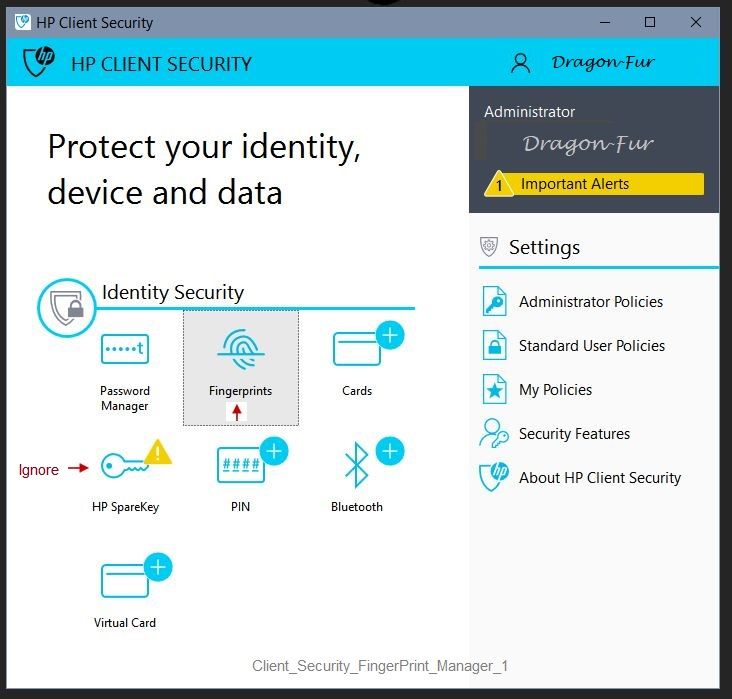 Client_Security_FingerPrint_Manager_1