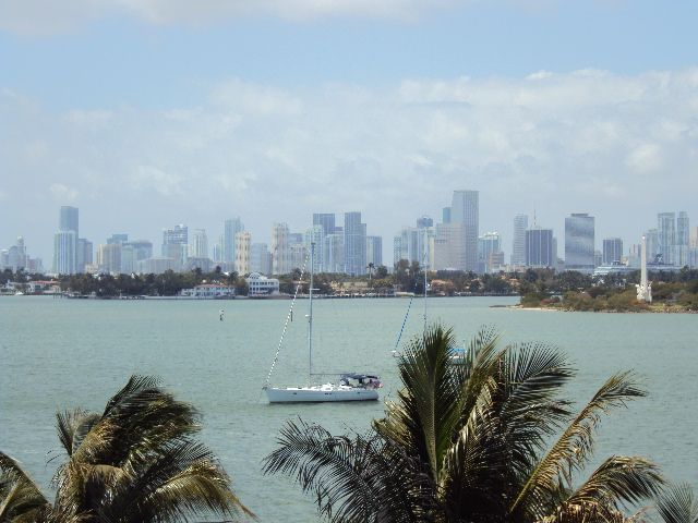 Miami Skyline