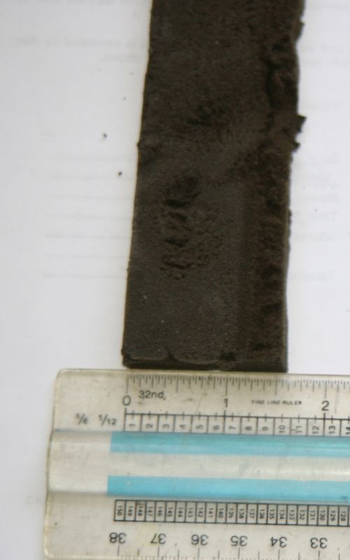 foam pad to replace