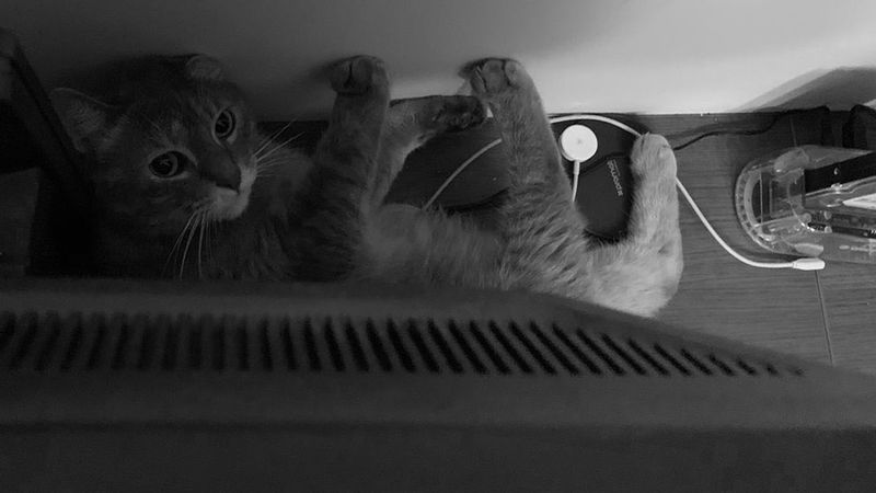 Supervisor has no clue...