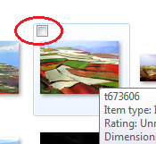 bg.png
