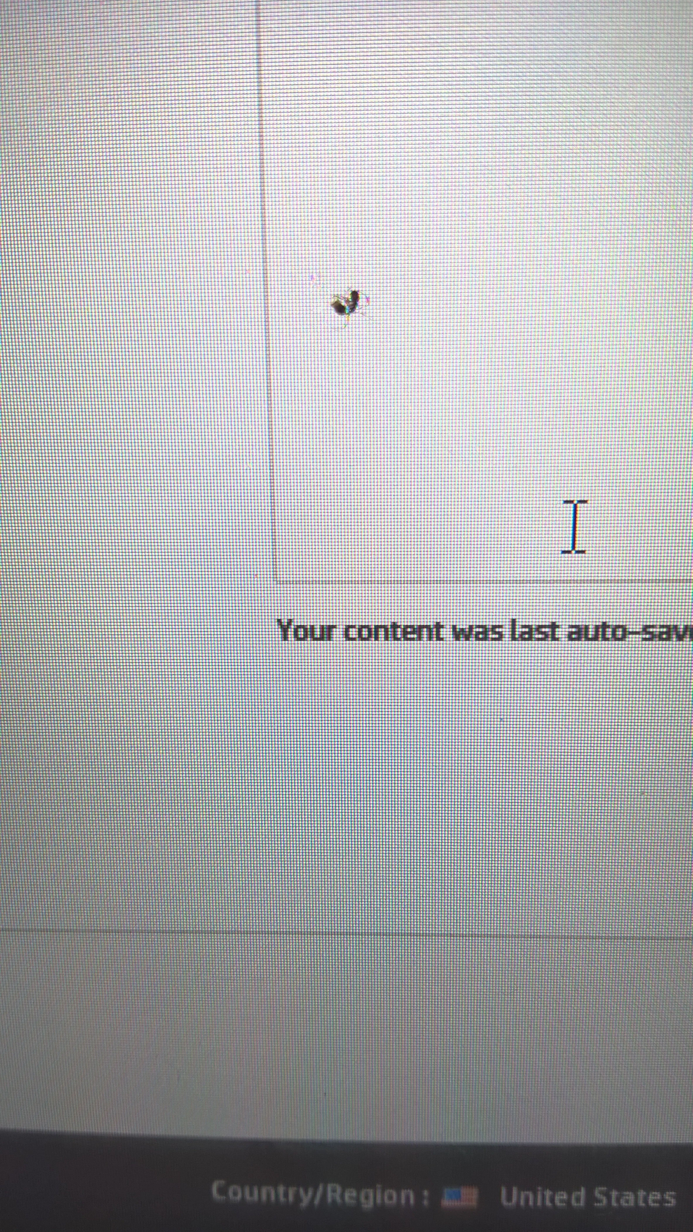 Dead ant inside my laptop screen - HP Support Community - 7254929