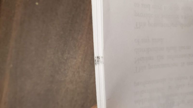 Ink on edges of pages
