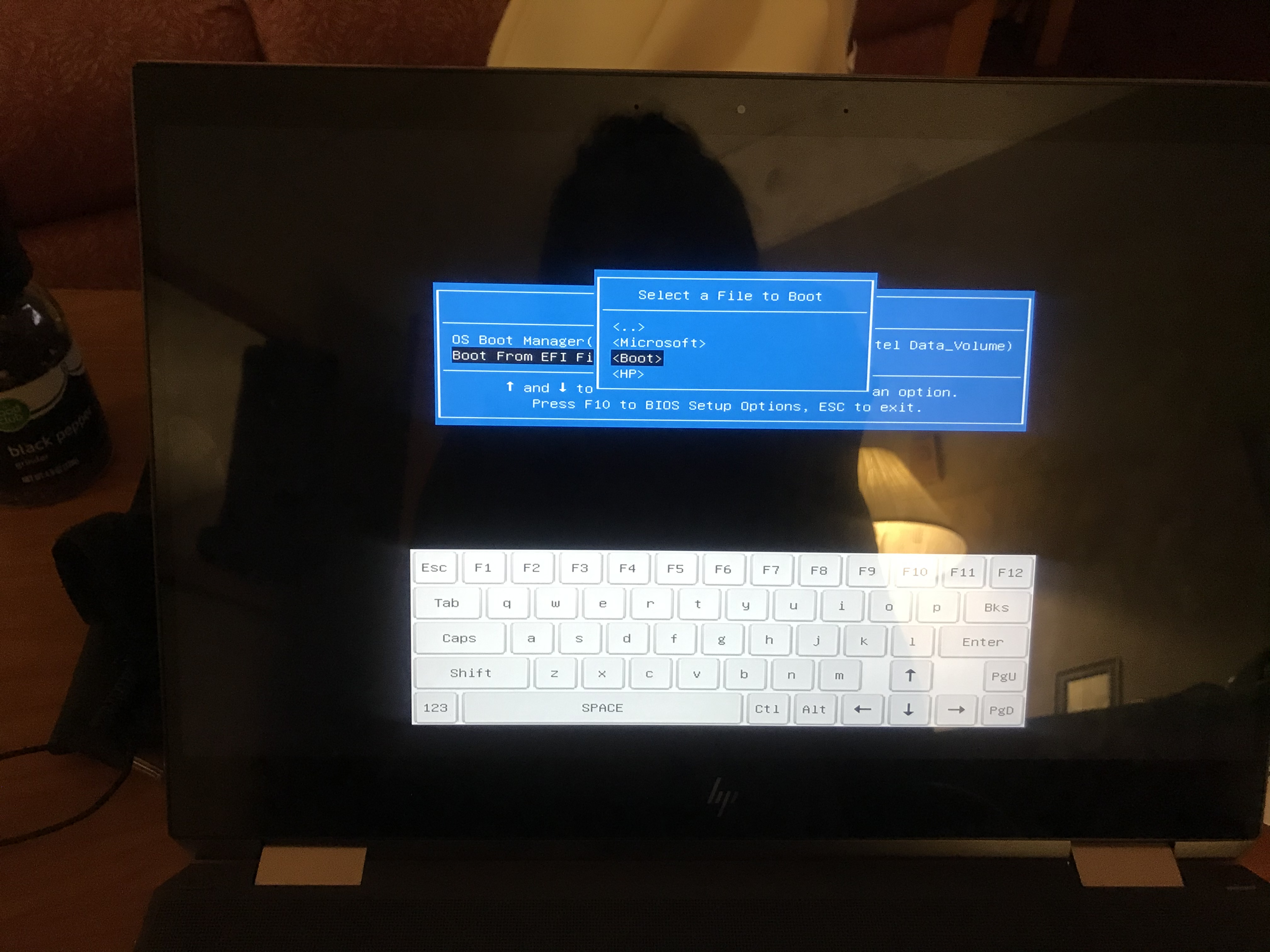 Dual boot Ubuntu with Win10 error 