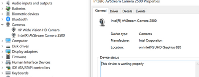Secondary Camera on HP Pavilion x360 - 14-cd0087tu Not Wokri... - HP  Support Community - 7504846