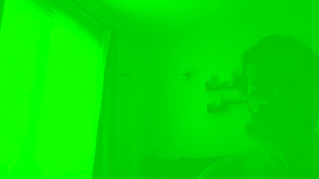 Webcam has green filter (Not vignette) but it works normally... - HP  Support Community - 7520537