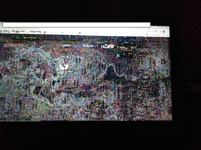 91487352_218763872538273_4443775375796862976_n.jpg