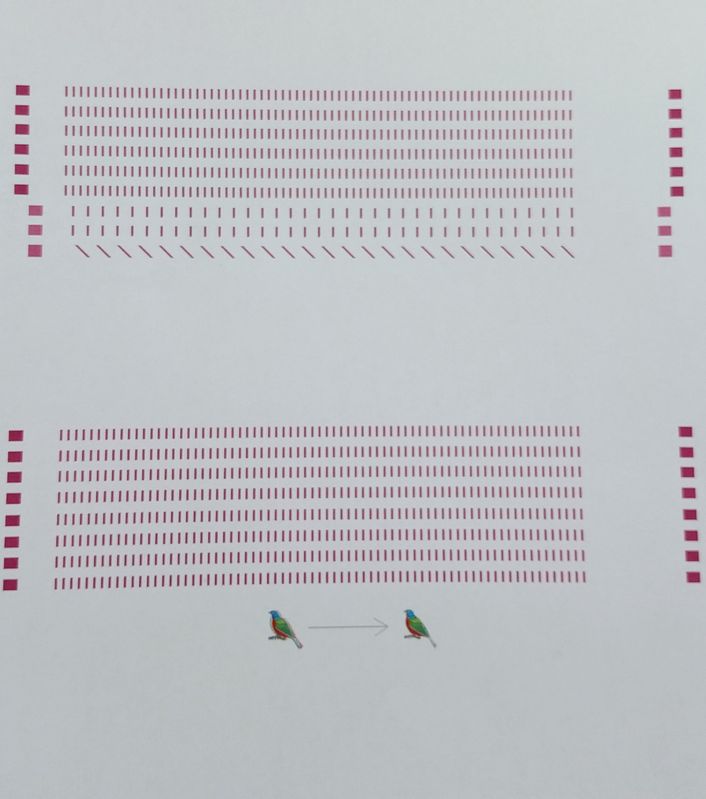 Results from Printhead Alignment; this is where it stops before giving me an error