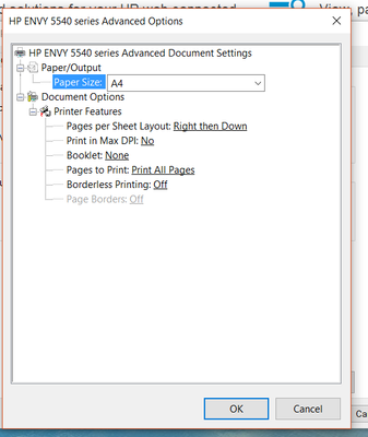 HP Printer Advanced Properties Window.PNG