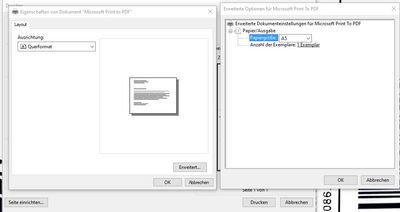 Print to PDF - setup.jpg