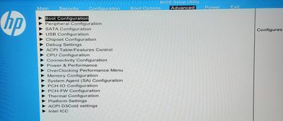 Advanced BIOS Screen