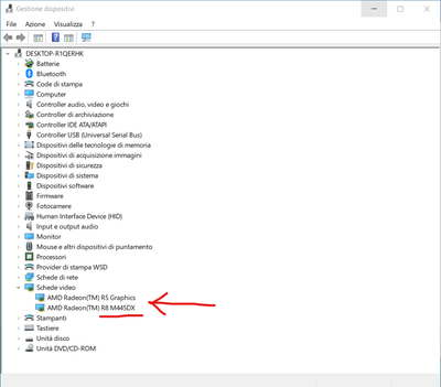 5_Device Manager with ambiguous graphic card model.png