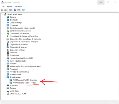 5_Device Manager with ambiguous graphic card model.png