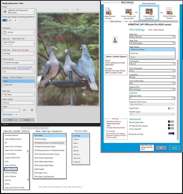 HP_Smart_W10_Borderless_Print_4x6_Band-Tails_1