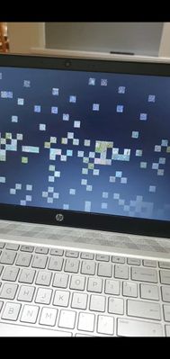 HP Pavilion screen shuts off then flickers grey squares and ... - HP  Support Community - 8051987