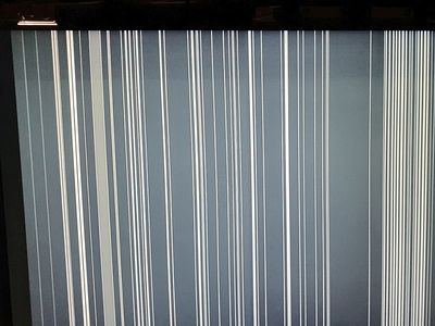 20210518_042504.jpeg