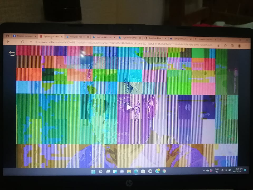 Display problem on netflix - HP Support Community - 8260438
