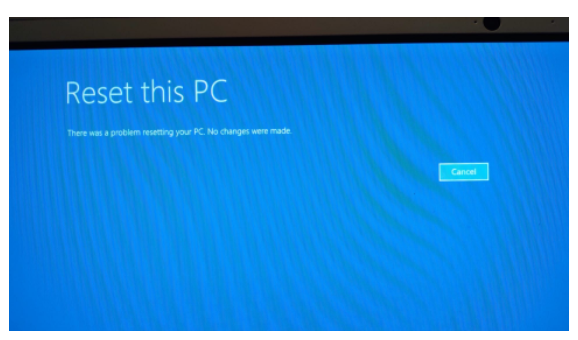 310682i978CECEB57C420C9?v=v2