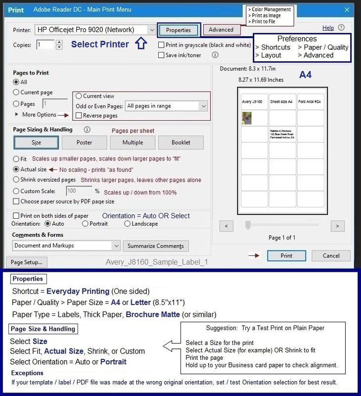 Avery_J8160_Sample_Label_1