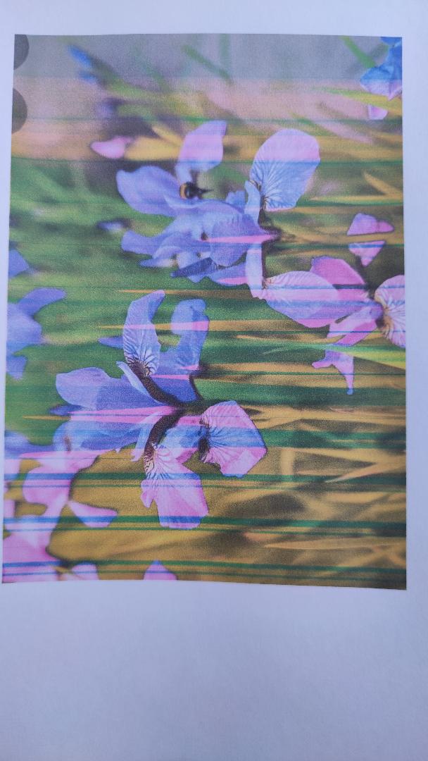 Solved: horizontal lines of cyan ink missing when printing - HP Support ...