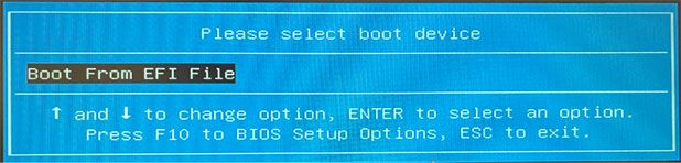 No Boot Option Appears For USB Boot