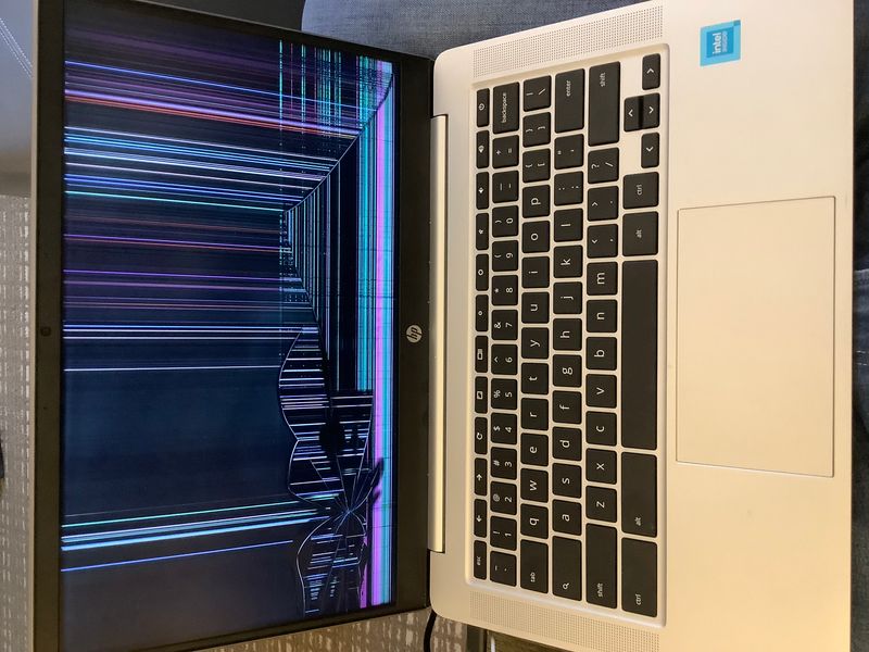 Display random lines