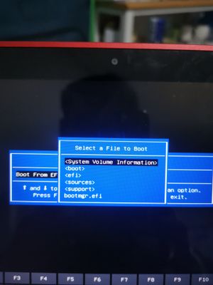 16829553047255338540968719790359.jpg
