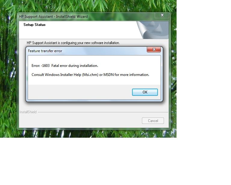 error4.jpg